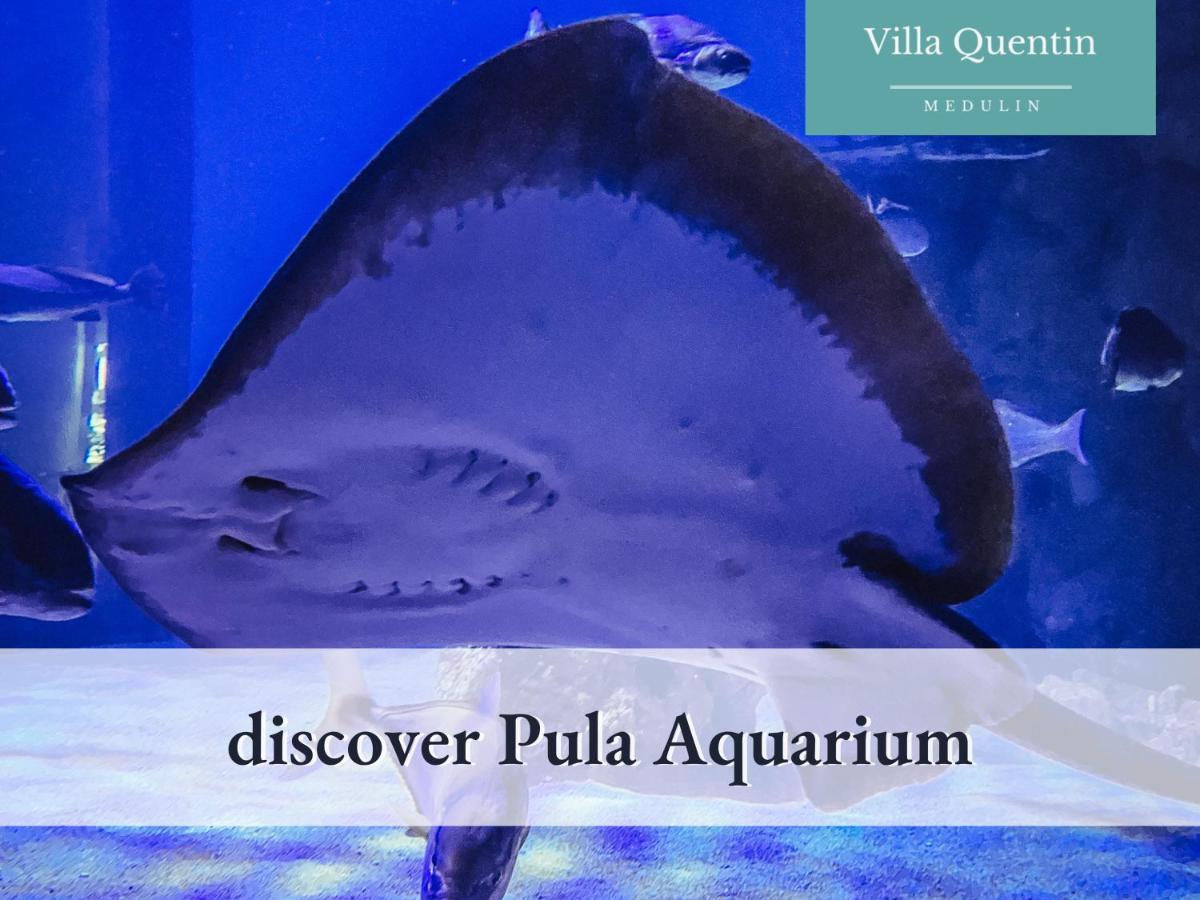 Villa Quentin - Quiet Place Close To Beach ميدولين المظهر الخارجي الصورة